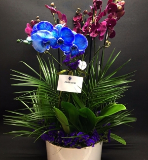 Özel Tasarım Mavi Orkide Bahçesi